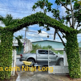 LẮP CỔNG RÀO VÀ HÀNG RÀO CÂY SANH CHO KHÁCH TẠI THÀNH PHÓ BẾN TRE