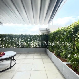 LẮP HÀNG RÀO CÂY SANH TRÊN SÂN THƯỢNG CHO KHÁCH Ở QUẬN 3