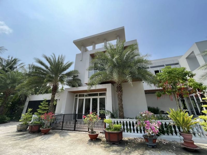 Thi Công Cây Cảnh Nhà Phố