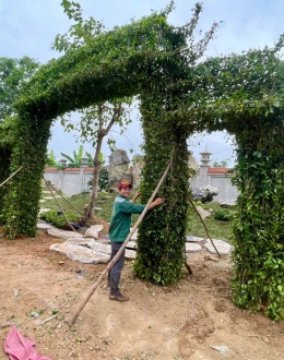 CỔNG CHÀO BẰNG CÂY SI HOẶC CÂY SANH