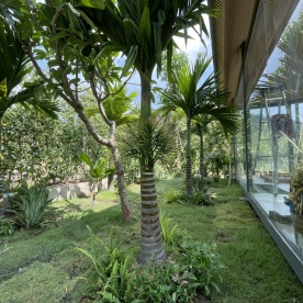 Thi công sân vườn và tường cây sanh cho khách ở Lâm Đồng