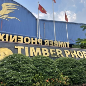 TRANG TRÍ CÂY CẢNH CHÔNG CÔNG TY GỖ TIMBER PHOENIX- KCN NHỊ XUÂN