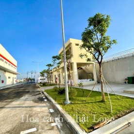 TRANG TRÍ CÂY XANH CHO KHUÔN VIÊN CÔNG TY CLF Ở LONG AN