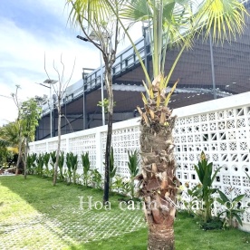 TRANG TRÍ SÂN VƯỜN NHÀ KHÁCH Ở LÂM ĐỒNG