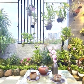 TRANG TRÍ TIỂU CẢNH TRÊN SÂN THƯỢNG NHÀ ANH NGUYÊN Ở QUẬN 2, HCM